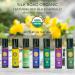 Organic Peppermint Essential Oil Roll-On 10ml - USDA Certified Pure Oil for Headache, Migraine, Pain, Nausea & Energy Relief - Travel Safe - Buy Online on GoSupps.com