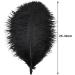 24pcs Natural Black Ostrich Feathers 10-12inch for Wedding & Home Decor - Buy Online on GoSupps.com
