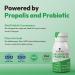 Bee and You Propolis Immune Shot Probiotic Vitamin C Vitamin D3 Zinc Ginger Immune Support Gut Health Digestive Health Bioactive 1.69 Fl. oz 12 Pack Ginger & Orange Juice - Buy Online on GoSupps.com