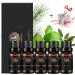Aromatherapy Cedar Essential Oil Set for Diffuser 100% Pure Ylang Ylang Essential Oil Kit for Humidifier 5x10ml Therapeutic Grade Basil Oil Set-Clary Sage Ylang Ylang Basil Pine Needles Cedar Oils - Buy Online on GoSupps.com