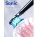 Powerful 5 Mode Electric Toothbrush for Adults | 40,000 VPM Sonic Cleaning | 8 Brush Heads | Rechargeable | Waterproof IPX7 - Buy Online on GoSupps.com
