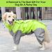 Lightweight Waterproof Dog Coat with Hood, Breathable and Adjustable for Large Medium Dogs - Green (28) - Buy Online on GoSupps.com
