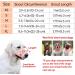 Buy Heele Dog Muzzle - Soft Nylon Breathable Mesh Basket for Comfortable Dog Training & Safety - International Shipping Available - Buy Online on GoSupps.com