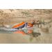 Knuffelwuff Dog Life Jacket Storm M - Reflective & Durable Ideal for Safe Water Adventures - Buy Online on GoSupps.com