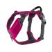 DOG Copenhagen Dog Harness V2 Comfort Walk (Pro) Wild Rose Size XS Wild Rose | Pink (Version 2020) XS