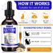 Lysine for Cats L-Lysine for Cat Immune Support Allergy Relief Sneezing & Runny Nose with Colostrum Taurine Vitamins - Roast Chicken Flavor - 60ml/2oz - Buy Online on GoSupps.com