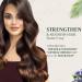 Parachute Advansed Rosemary-enriched Coconut Hair Oil| Rosemary Hair Oil| Superfoods Magic| Long & Thick Hair|300 Ml - Buy Online on GoSupps.com