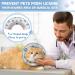 Supet Cat Cone Collar Soft to Stop Licking Cat Recovery E Collar After Surgery Cat Neck Head Cone Alternative for Small Large Cats Kittens Grey M+(8.5"-12") Grey - Buy Online on GoSupps.com