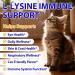Lysine for Cats L-Lysine for Cat Immune Support Allergy Relief Sneezing & Runny Nose with Colostrum Taurine Vitamins - Roast Chicken Flavor - 60ml/2oz - Buy Online on GoSupps.com