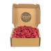 Gourning life Box with 1000g Storz chocolate hearts chocolate hearts red sweetness in large packs ideal for Mother's Day decoration for Valentine's Day 1000g Storz Hearts