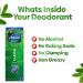Vebix Unisex Deodorant Cream | Alcohol-Free All Natural Antiperspirant for Men & Women | Long-Lasting Odor Protection - Buy Online on GoSupps.com