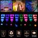 10ml Fluorescent Body Paint Set | Blacklight Face & Body Paints for Parties Festivals & Night Events | Vibrant Neon Colors for Creative Expression - Buy Online on GoSupps.com