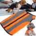 Qcwwy XL Fluorescent Orange Reflective Vest for Dogs - Safety Jacket & Pet Clothing | Bright Warning Safety Gear - Buy Online on GoSupps.com