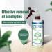 Formaldehyde Removal Solution | New House Artifact | Practical Spray for Furniture Wall Floor and Car Interior Aviere - Buy Online on GoSupps.com