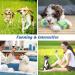 Etaccu Dog Toys Set 8 Indestructible Cotton Rope Toys for Small Dogs | Interactive Puppy Toys (Green) - Buy Online on GoSupps.com
