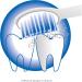 Proficare PC-EZS 3000 Electric Sound Toothbrush | Optimal Dental Care & Oral Hygiene | Includes 2 Butsiessents | Battery Operated | White-Blue - Buy Online on GoSupps.com
