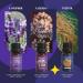 Lake Sleep Essential Oil Set Aromatherapy Gift with Vetiver Lavender & More (6x10 ml) - Pure Fragrance Oils for Diffusers & Humidifiers - Buy Online on GoSupps.com