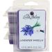 Highly Scented Lavender Vanilla Wax Melts | Hand-Poured 2-Pack | 12 Cubes for Warmers - International Shipping Available - Buy Online on GoSupps.com