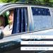 ZATOOTO Car Sun Shades - UV Rays Protection Black Car Curtains (Blue) - 50*78cm - Buy Online on GoSupps.com