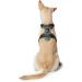 HUNTER DIVO Dog Harness L-XL (79-107 cm) - Green/Grey - Premium Quality International Shipping - Buy Online on GoSupps.com