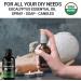 Organic Eucalyptus Essential Oil - 100% Pure for Diffuser, Sinus Relief, Aromatherapy - Natural Eucalyptus Oil for Skin, Hair, Scalp - Cold & Allergy Relief - Buy Online on GoSupps.com