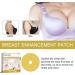 NELLN 2023 Breast Enhancement Patch - Ginger Bust Mask - 3box Set - Buy Online on GoSupps.com