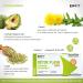 Eafit MINCEUR - DETOX FLASH SHOT - Drain - Detoxify - Apple cider vinegar - Fennel - Dandelion - Artichoke 7 shot - Buy Online on GoSupps.com