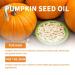Pumpkin Seed Oil for Hair Growth & Care - Essential Oil for Hair Loss Eyelash & Beard Growth - Scalp & Body Massage Oil - 60ml (3PC) - Buy Online on GoSupps.com