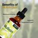 Mullein Leaf Liquid Extract - Lung Cleanse & Immune Support Tincture - 45-Day Supply, 2 fl oz - Buy Online on GoSupps.com