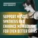 Vegan BCAA Capsules for Muscle Recovery and Growth - 60 Count Supplement for Men and Women - Buy Online on GoSupps.com