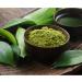 Organic Japanese Matcha Green Tea Powder Classic Culinary Grade Green Colouring Food for Lattes Smoothies Baking Vegan Hight Antioxidants Energy Supports Radiant Skin Smoothies & Recipes (100 g (Pack of 1)) - Buy Online on GoSupps.com