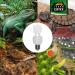 Terra Exotica Jungle 5.0 UVB 13W Full Spectrum Daylight Lamp - Compact Mini Terrarium Light | International Shipping Available - Buy Online on GoSupps.com