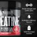 Warrior Creatine Monohydrate Powder 300g - Micronised for Easy Mixing - Savage Strawberry Flavor - Buy Online on GoSupps.com