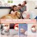 Reusable Lint Roller Hair Remover Ball - Travel Tool for Pet Hair Fur & Dust - Ideal for Clothes Furniture & Carpets - Blue - Buy Online on GoSupps.com