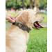 Joyal Tactical Dog Collar - Medium-Sized Camouflage Dog Collar with Handle & QR Code for Secure Pet Identification - Buy Online on GoSupps.com