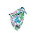 RC Pet Products Zephyr Cooling Bandana, Dog Cooling Collar, Medium, Toucan Medium Toucan