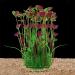 QUMY Large Artificial Aquarium Plants Decoration - A-red 15.7 Inches - Buy Online on GoSupps.com