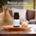 Santal Essential Oil for Diffuser - Inspired by Santal 33 - Luxurious Aroma Handcrafted in USA - 10ml Glass Bottle - Buy Online on GoSupps.com