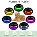 LED Light Up Dog Collar - USB Rechargeable, Waterproof, Adjustable - Green - M(38-50cm/15-19.7inch) - Buy Online on GoSupps.com
