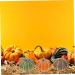 Alipis 8pcs Mini Pumpkin Artificial Fake Pumpkins Fall Pumpkin Models Artificial Fruit Props Fall Autumn Pumpkins Simulated Pumpkin Model Realistic Fake Pumpkins Vegetable Foam Halloween - Buy Online on GoSupps.com