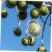 Parliky Shaped Growth Fruitful Fruit Forming Shapes Fruit Shaper Fruit Cloth Bag Vegetable - Buy Online on GoSupps.com