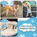 Slowton Dog Diapers for Bitches - Washable Leak-Safe Soft & Eco-Friendly Heat Trousers 3 Pack with Adjustable Buttons for Incontinence & Heat Patterns - Buy Online on GoSupps.com