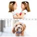 Shop Hacho Tutu Rock for Dogs - Wedding Tulle Tutus for Small & Medium Dogs | White 1 Pack with Hair Loop - Buy Online on GoSupps.com