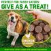 Dog Joint Care Supplements | 150 Chews with Green Lipped Mussel, Glucosamine & Chondroitin | Hemp Oil, MSM, Hyaluronic Acid, Manganese & Vitamins | Aids Stiff Joints | 1 Pot (150 Chews) - Buy Online on GoSupps.com