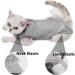 Premium Katzenbody for Cats | Post-Surgery Recovery Suits & E-Collar Alternatives | International Shipping - Buy Online on GoSupps.com