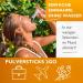 Code Vital Probio Immun I MultiSpecies Probiotics | Austrian Quality | 10 Intestinal Strains + Vitamin D | Delicious Taste | 30 Sticks for Optimal Immunity - Buy Online on GoSupps.com