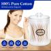 2-Pack 500 Count Q-tip Cotton Swabs - Soft & Firm Buds for Hygiene & Beauty Care - Includes 2 Peaknip Holders - Buy Online on GoSupps.com