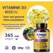 Kinoko LIfe Vitamin D3 4000 IU 365 Capsules Natural Vitamin D Cholecalcipherol with Extra Virgin Olive Oil Supports the joints and improves calcium absorption Increases your resistance - Buy Online on GoSupps.com