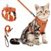Petbonus cat dishes with a line adjustable cat line with dishes for cats breathable and soft cat dishes Small cat with reflex strips for cats kitten (orange s) s orange