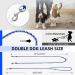 S-ETOVUS Double Dog Leash Two Dog Leash Chew Proof Metal Chain Double Clip Dog Leash 360 Swivel Tangle Free Leash Splitter Dual Leash Coupler for Small Dogs Walking blue 2.5mm*2.6FT(Small Dog) - Buy Online on GoSupps.com